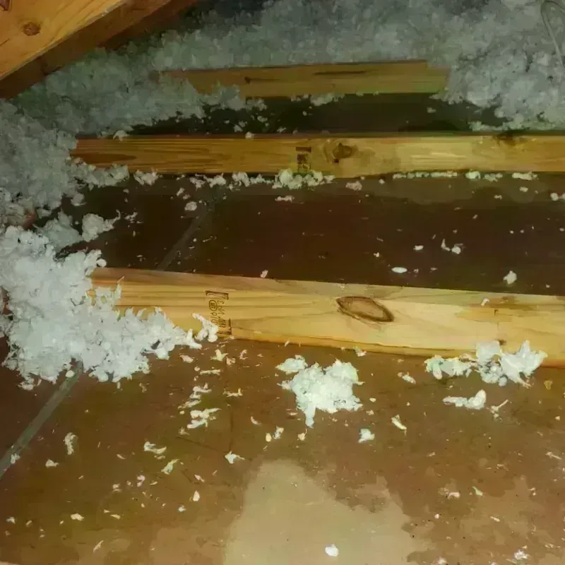 Attic Water Damage in Westerleigh, NY